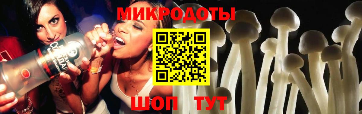 Псилоцибиновые грибы Cubensis Десногорск